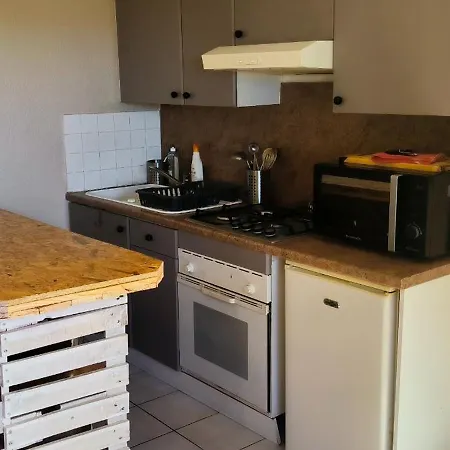 Appartement Proche Zenith
